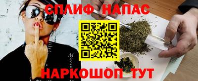 спиды Новозыбков