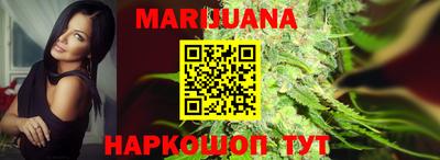 спиды Новозыбков