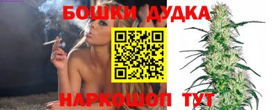 спиды Новозыбков