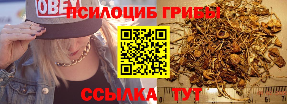 Псилоцибиновые грибы ЛСД  Вход с VPN  Псилоцибиновые грибы MAGIC MUSHROOMS  Ступино 